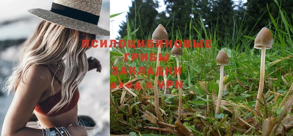 винт Верхний Тагил