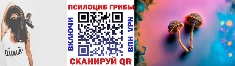 дарк нет клад  Калининск  Псилоцибиновые грибы мицелий 